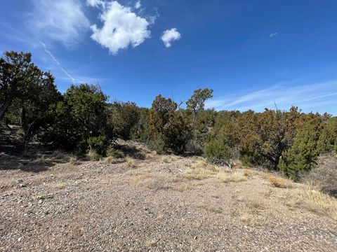Vacant Land For Sale - 31 Canon Escondido<br/> Sandia Park, NM 87047