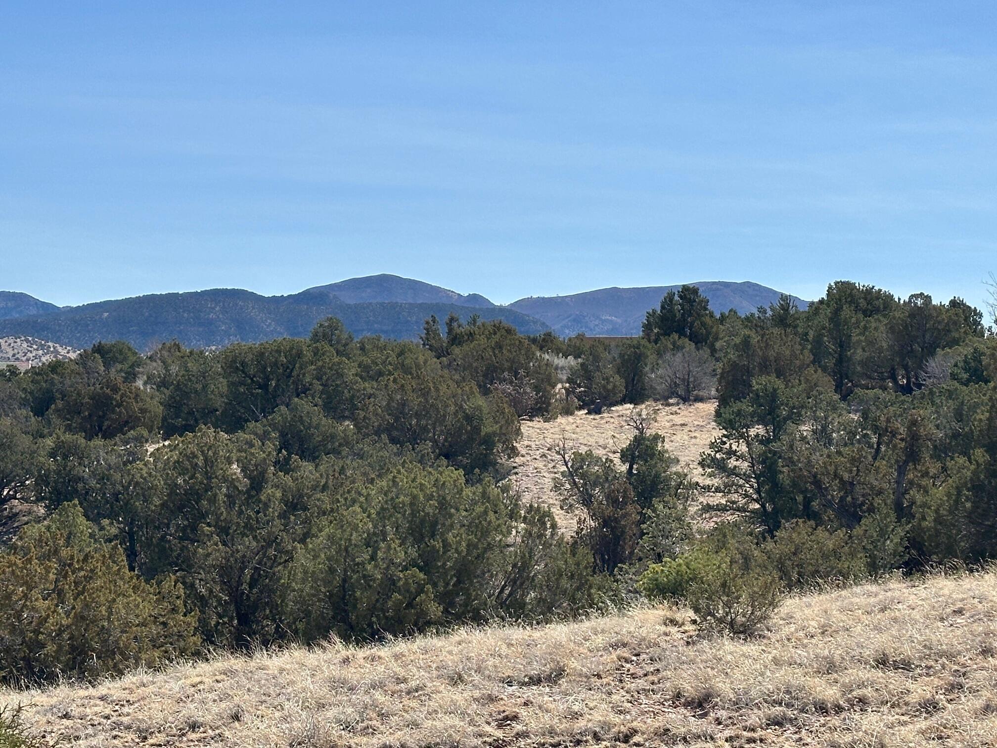 3 Old Rail Pass Trail, Sandia Park, New Mexico image 39