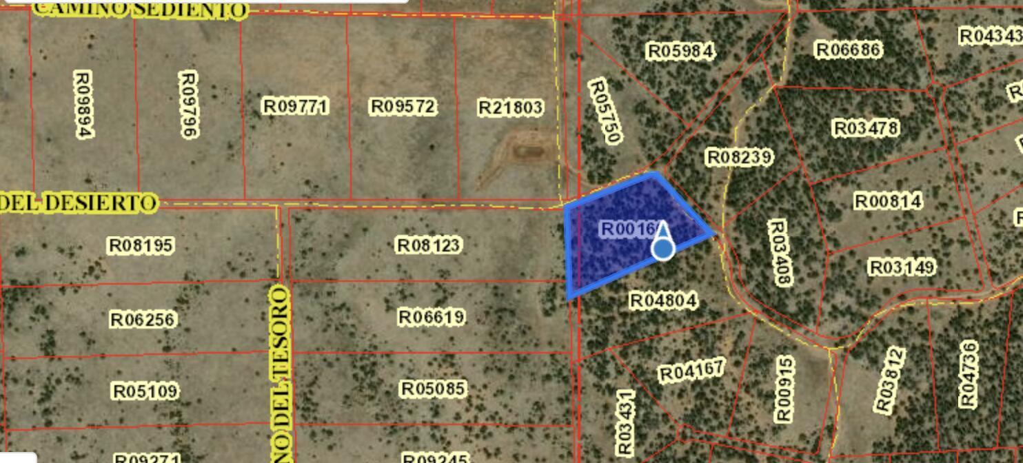 Cerro Leonides Road, Grants, New Mexico image 3