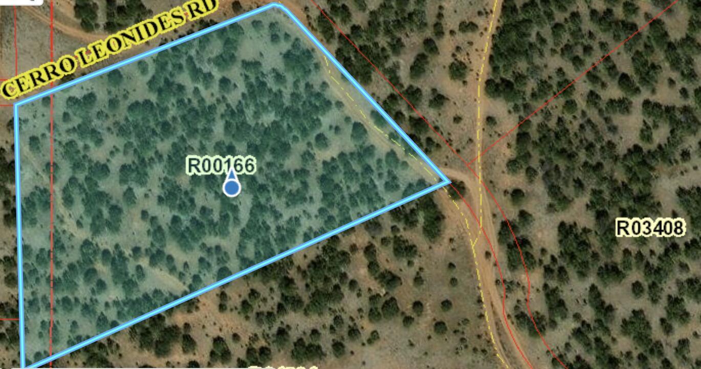 Cerro Leonides Road, Grants, New Mexico image 5