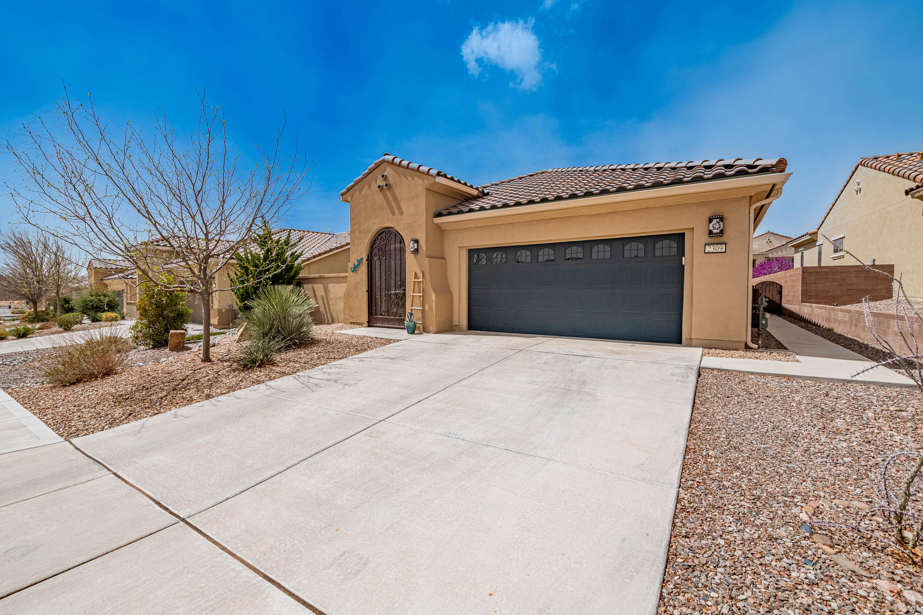 2309 Chuckwalla Spring Trail, Albuquerque, New Mexico image 2