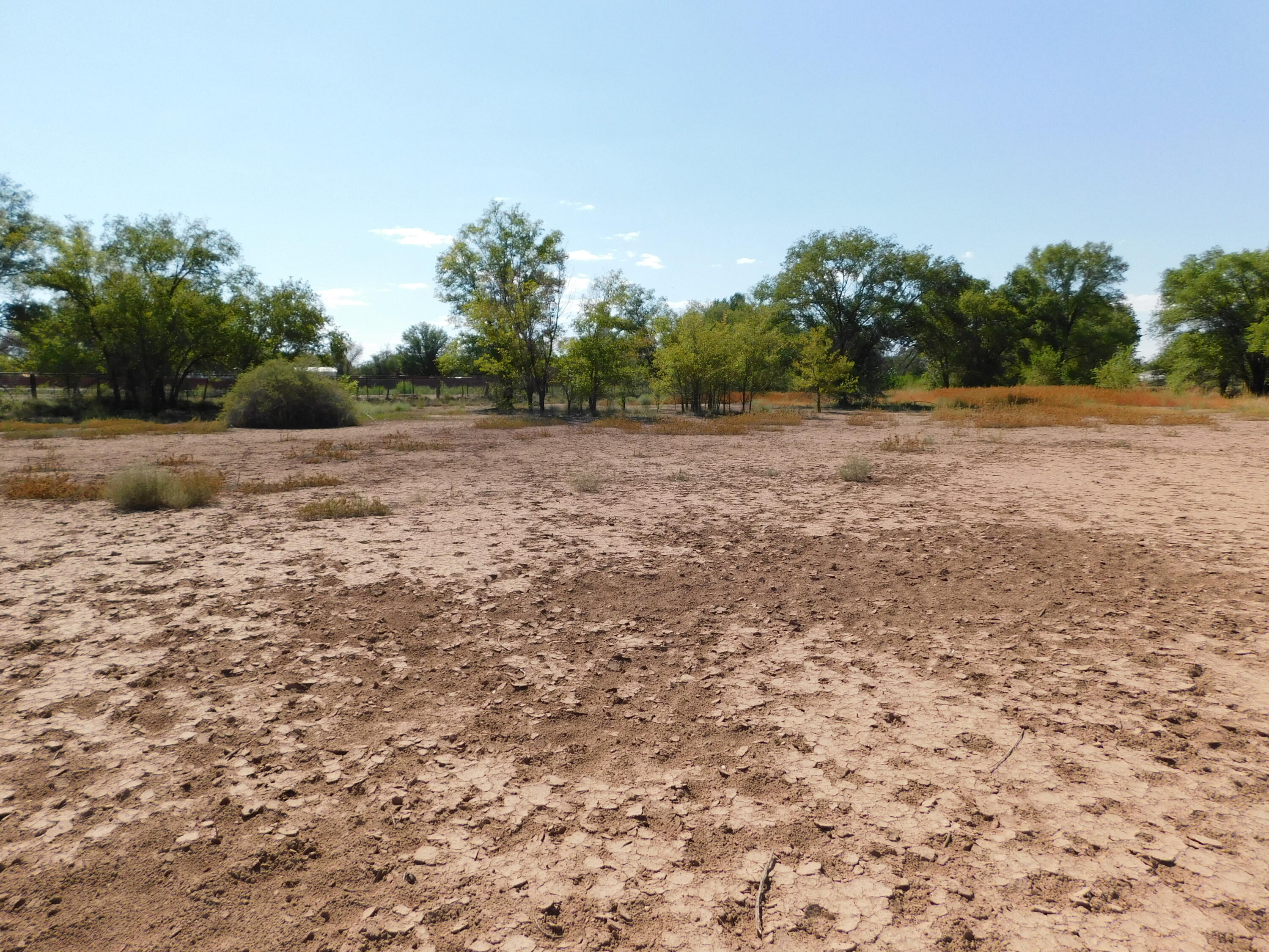 63 N El Cerro Loop, Los Lunas, New Mexico image 6