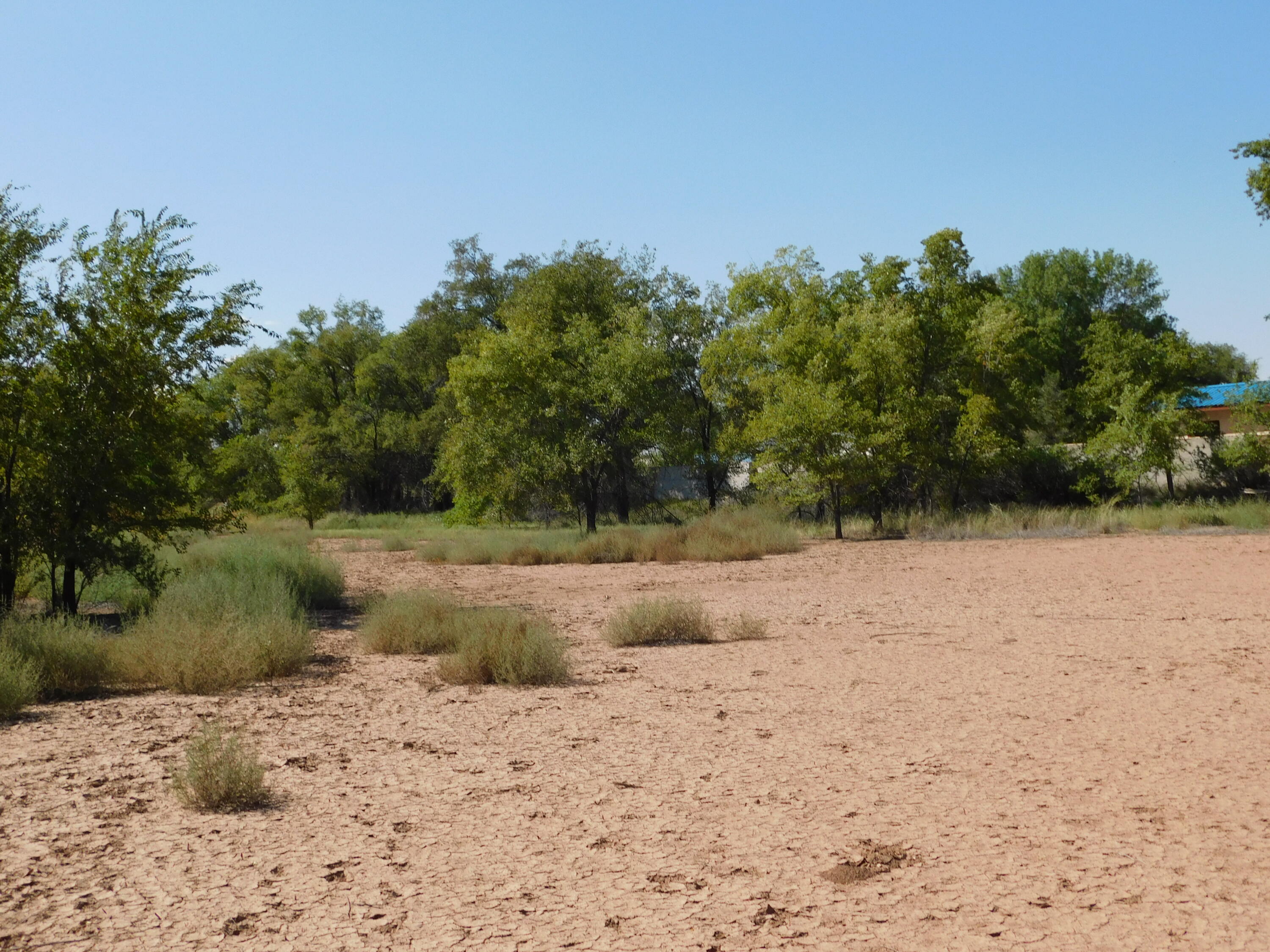 63 N El Cerro Loop, Los Lunas, New Mexico image 4