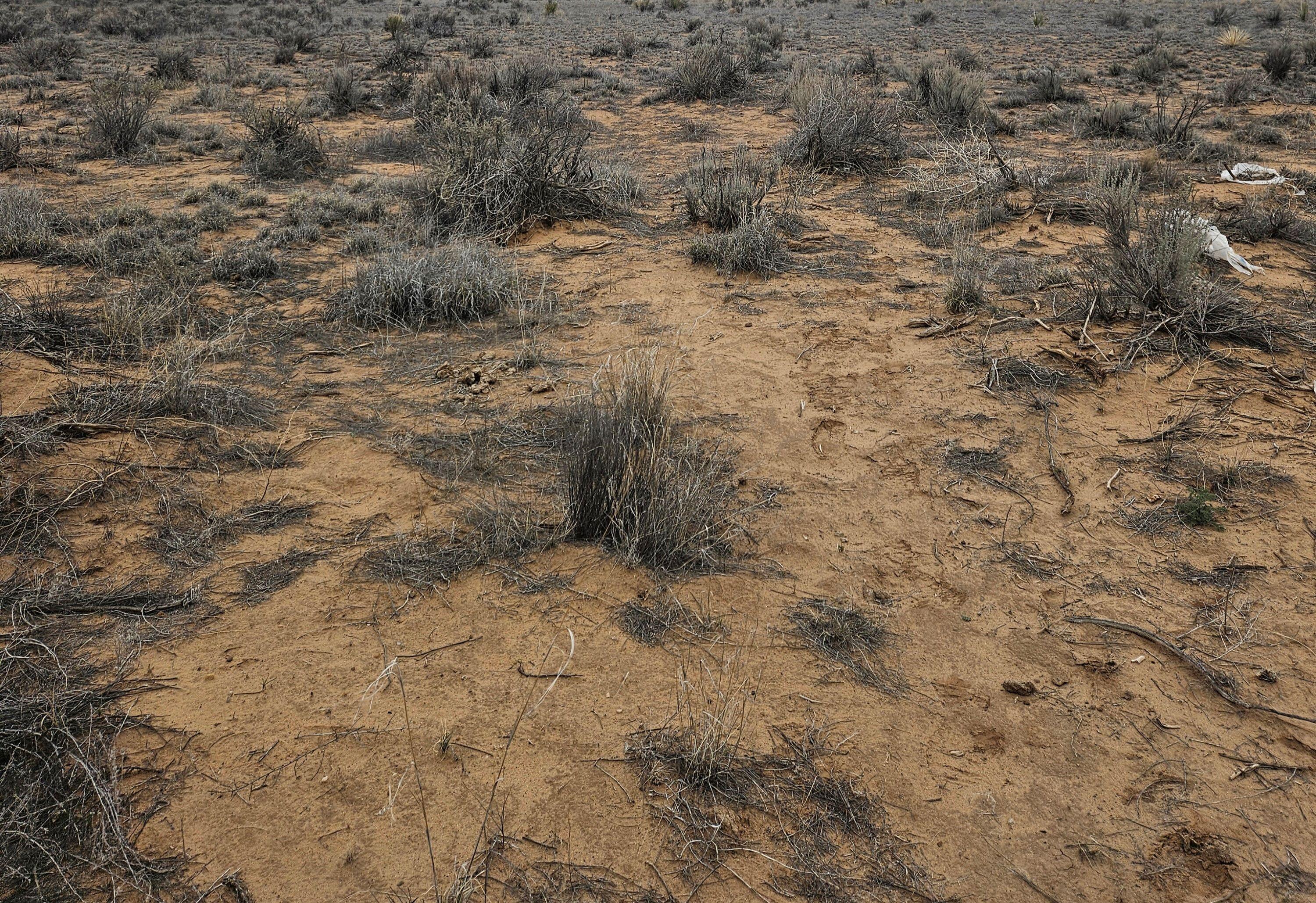 Tbd Locked Gate Lot 54 Road, Belen, New Mexico image 1