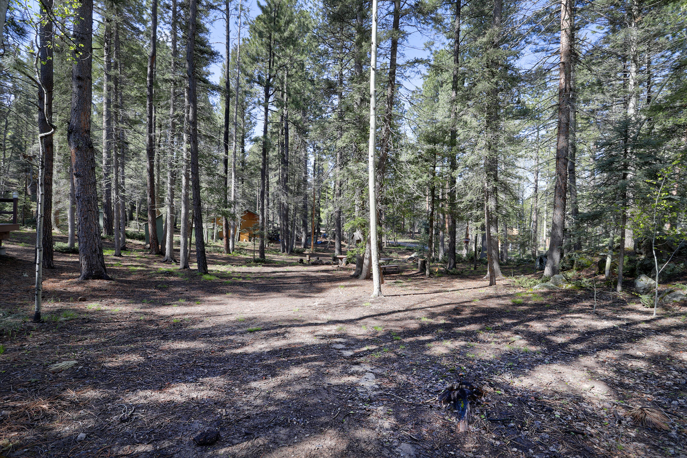 34 Chipmunk Trail, Jemez Springs, New Mexico image 21