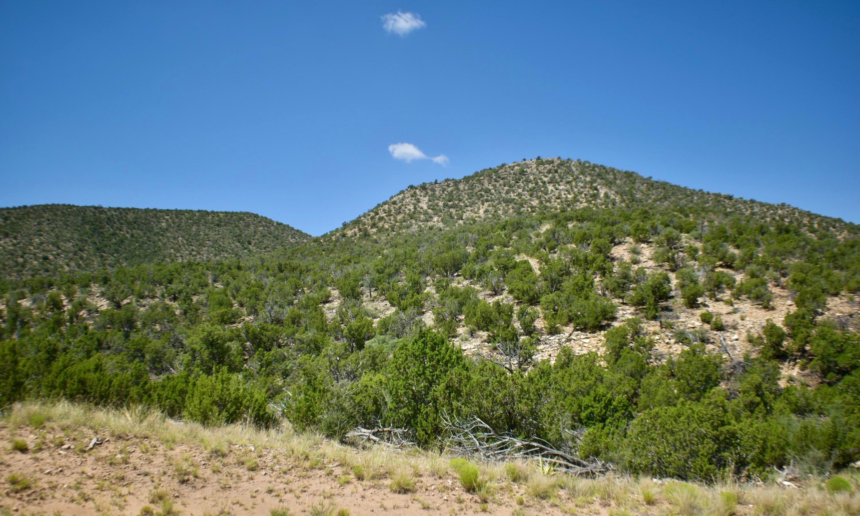 6 Chato Trail