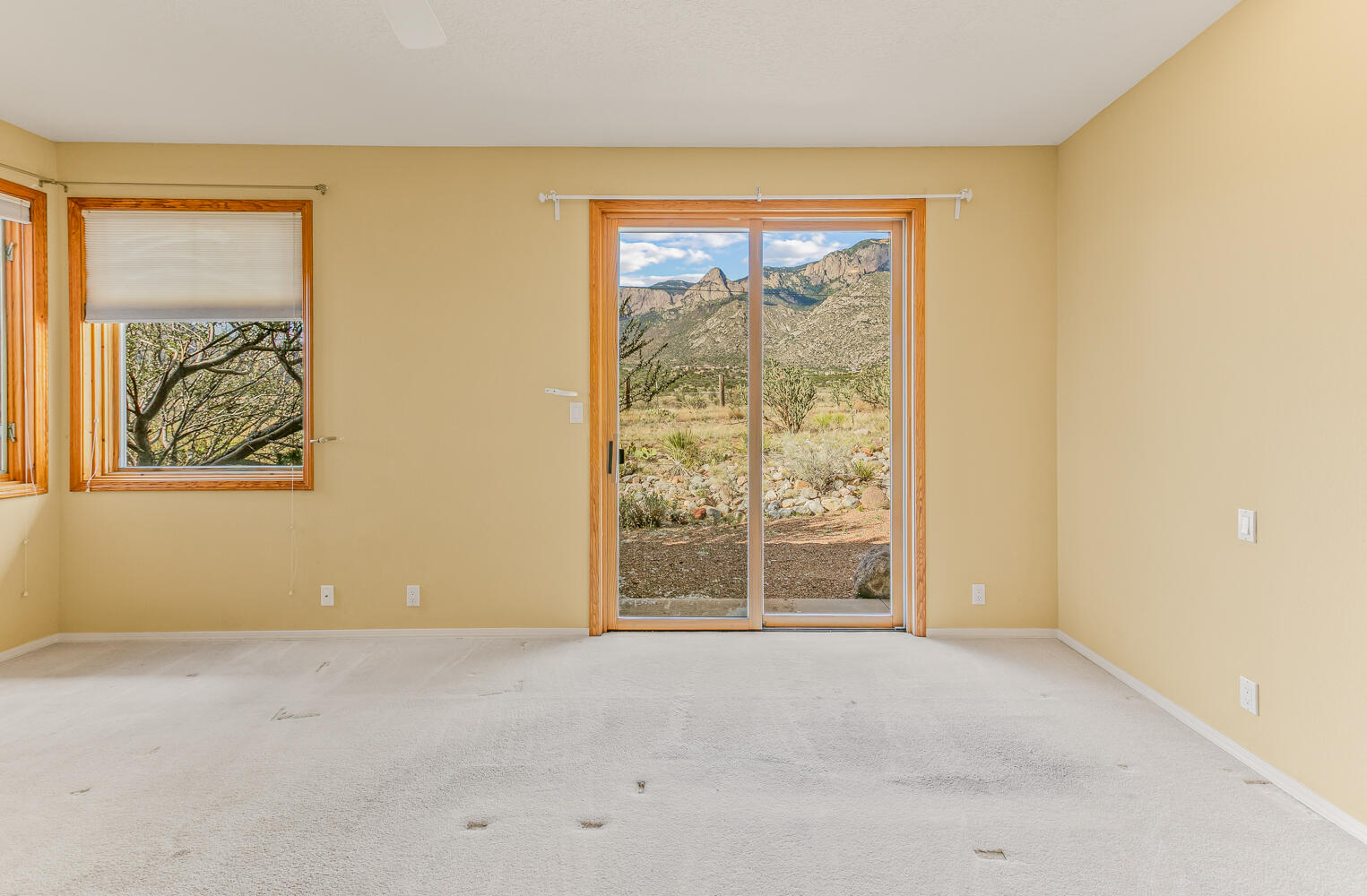 12511 Elena Drive, Albuquerque, New Mexico image 18