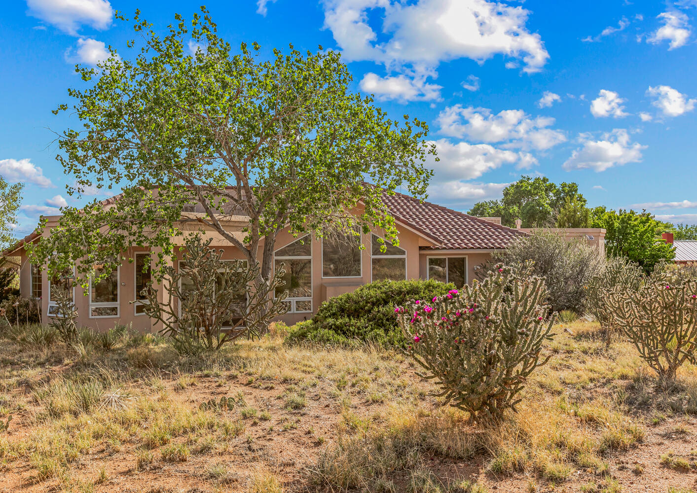 12511 Elena Drive, Albuquerque, New Mexico image 35