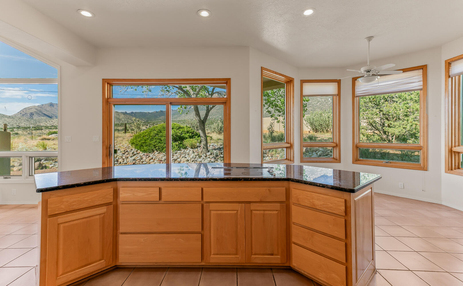 12511 Elena Drive, Albuquerque, New Mexico image 16