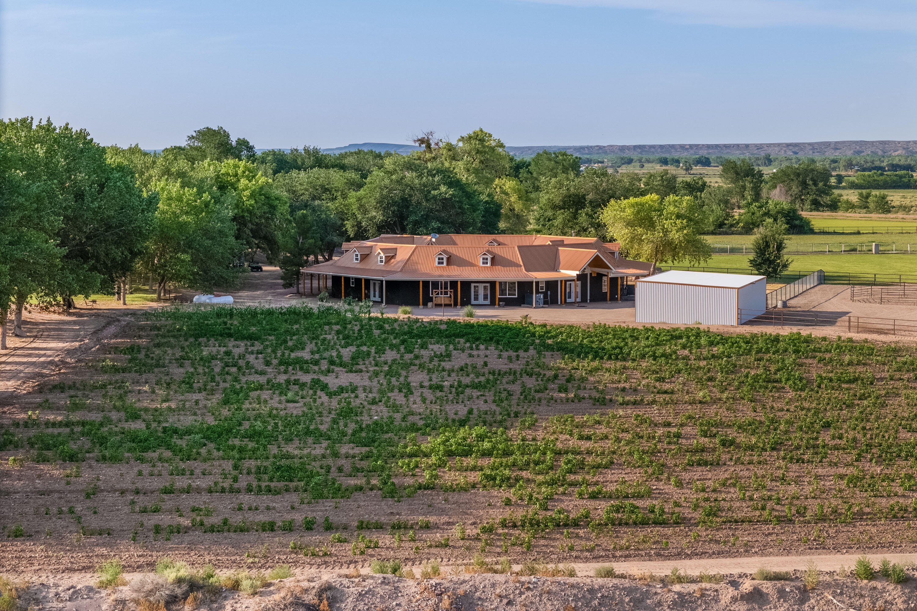 26 Schmittle Road, Socorro, New Mexico image 6