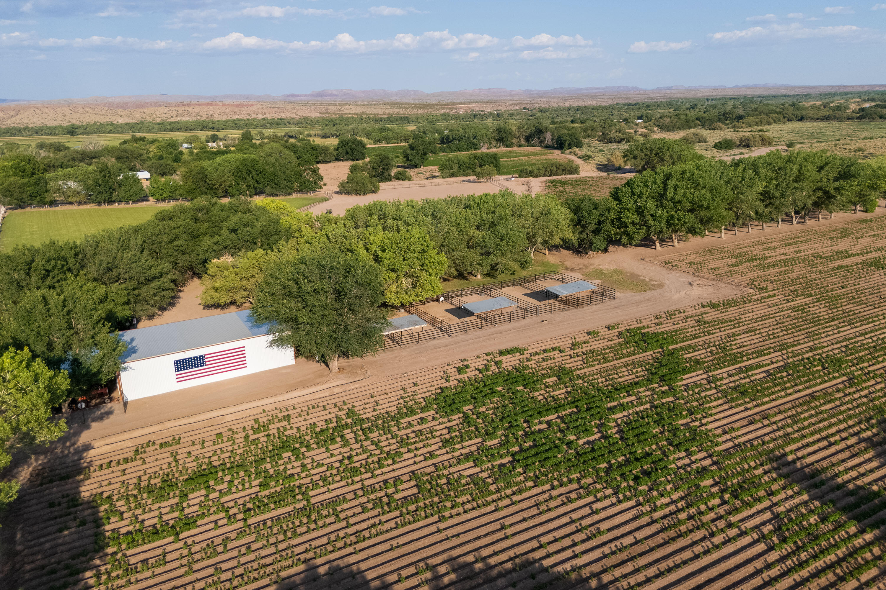 26 Schmittle Road, Socorro, New Mexico image 4