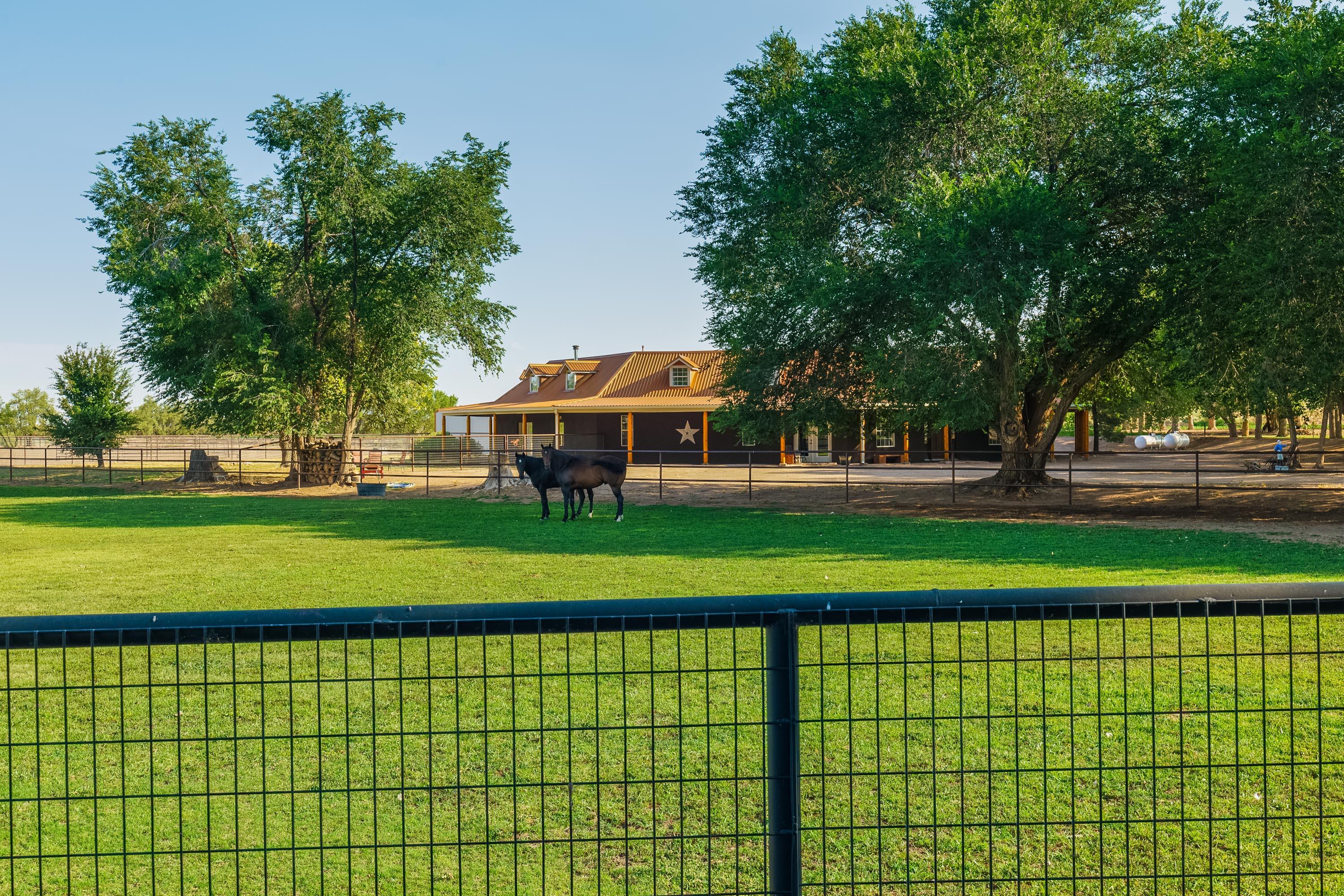 26 Schmittle Road, Socorro, New Mexico image 9