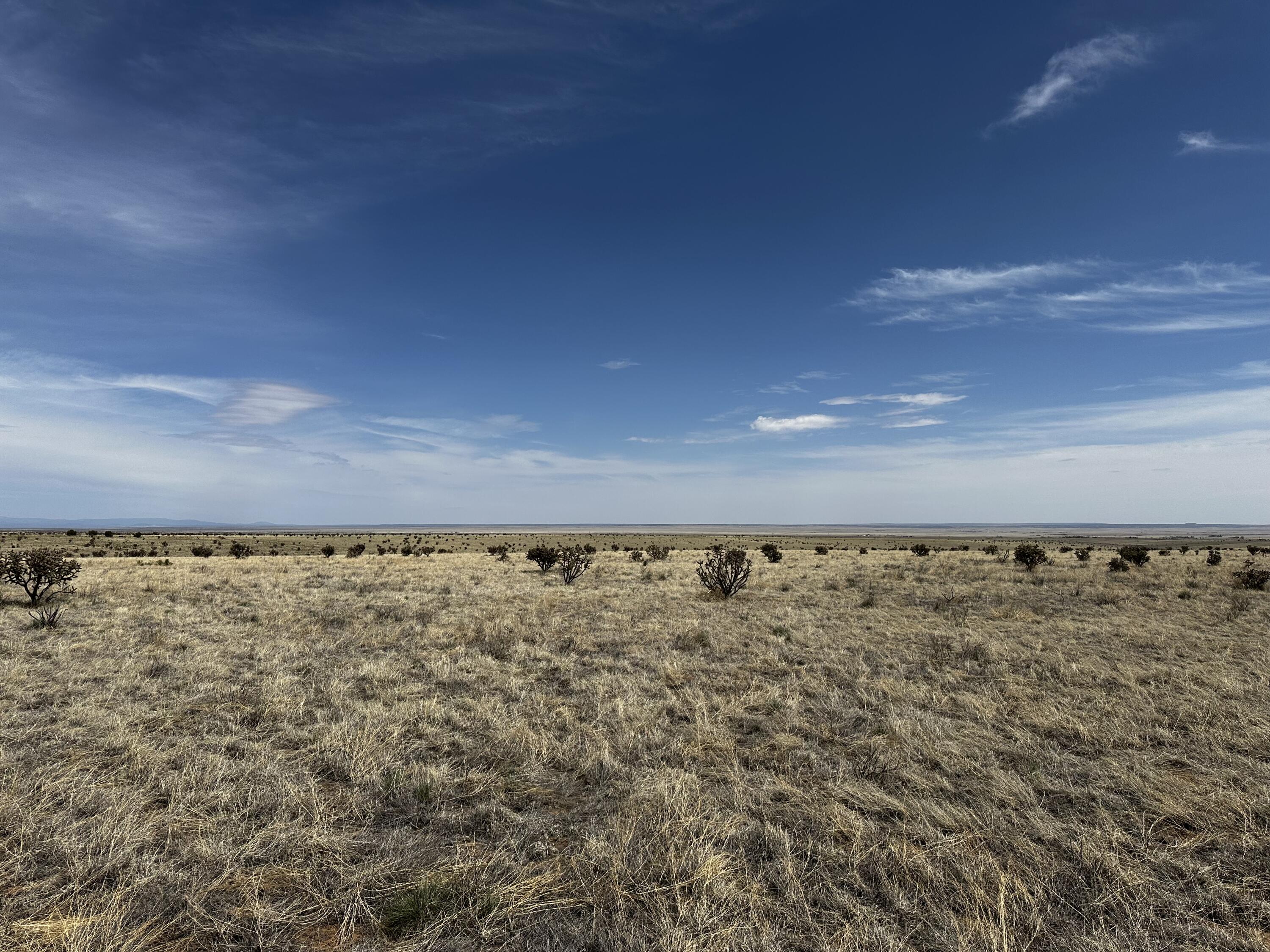 A-2 Camino Sol Y Paz, Stanley, New Mexico image 16
