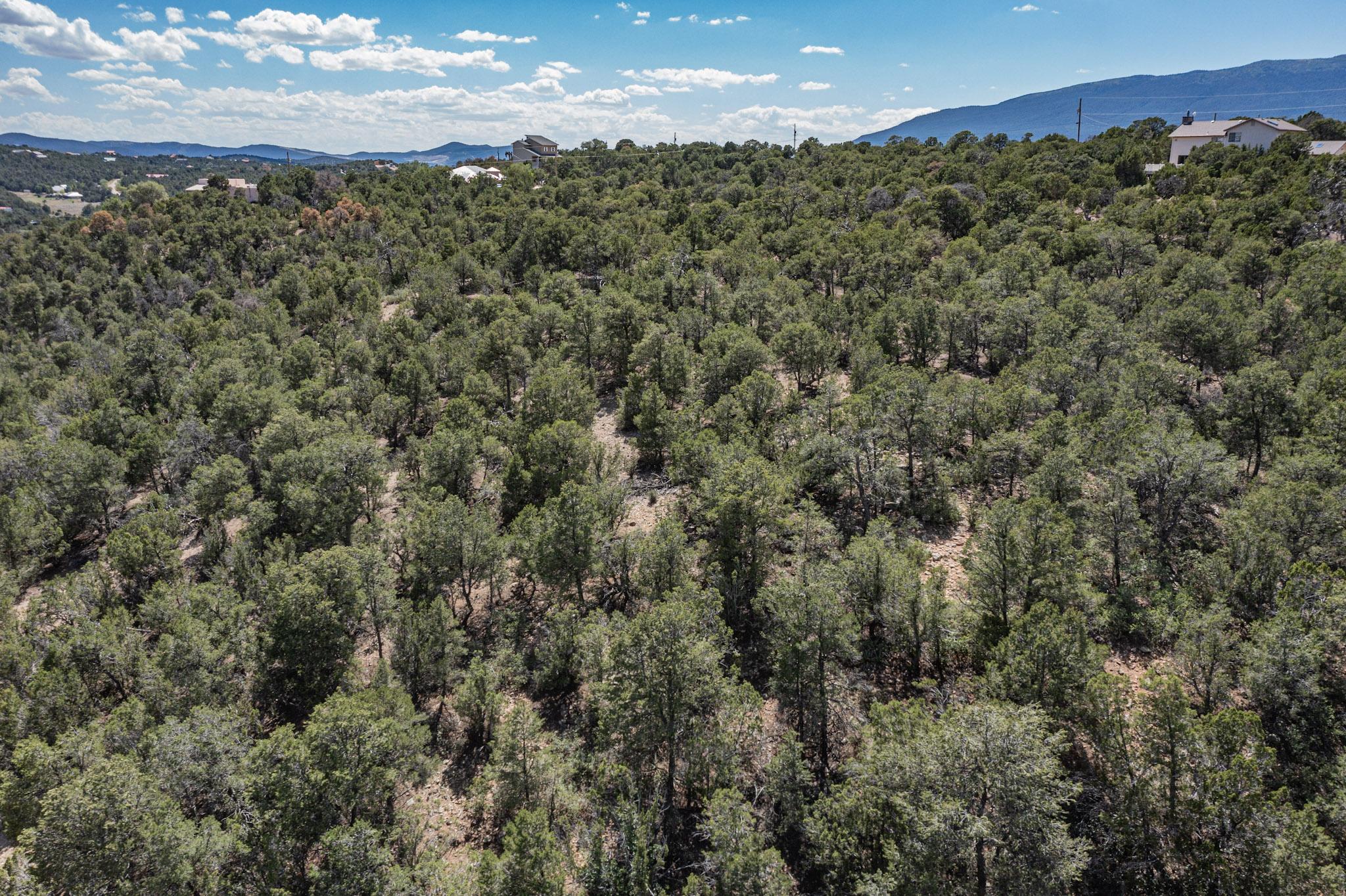 10 Miraverde Ct, Tijeras, New Mexico image 16