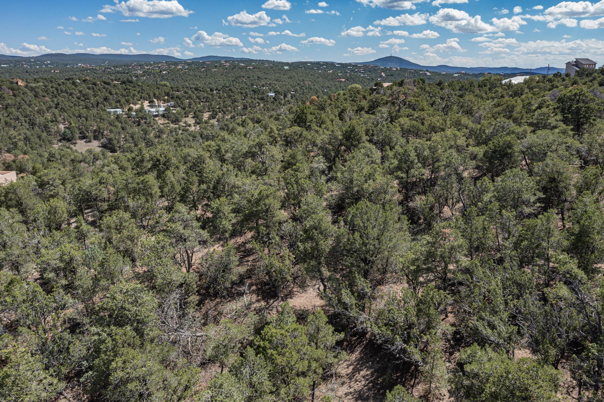 10 Miraverde Ct, Tijeras, New Mexico image 17