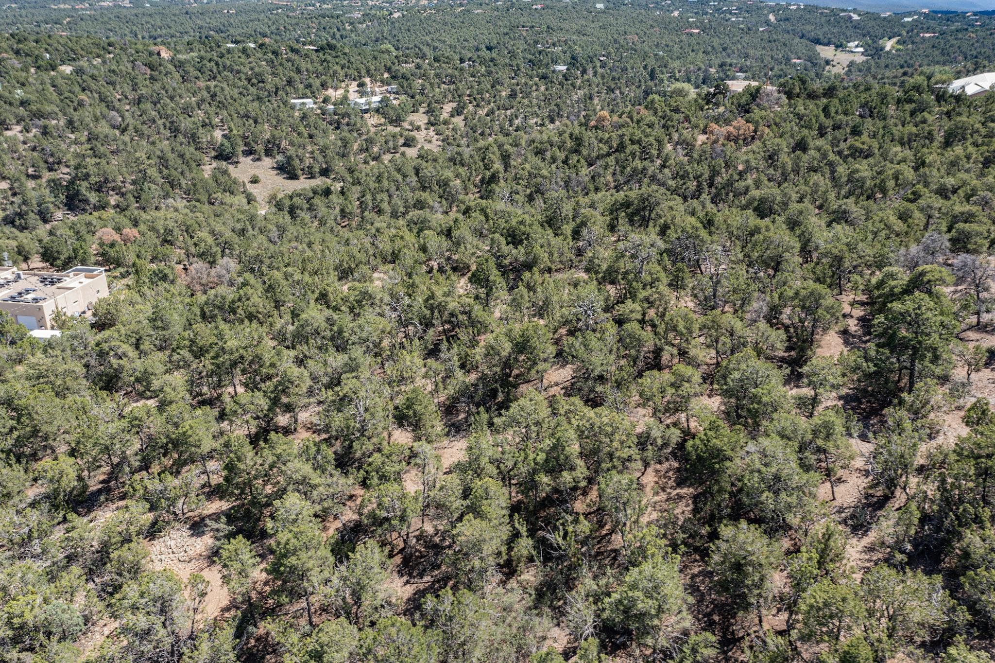 10 Miraverde Ct, Tijeras, New Mexico image 7