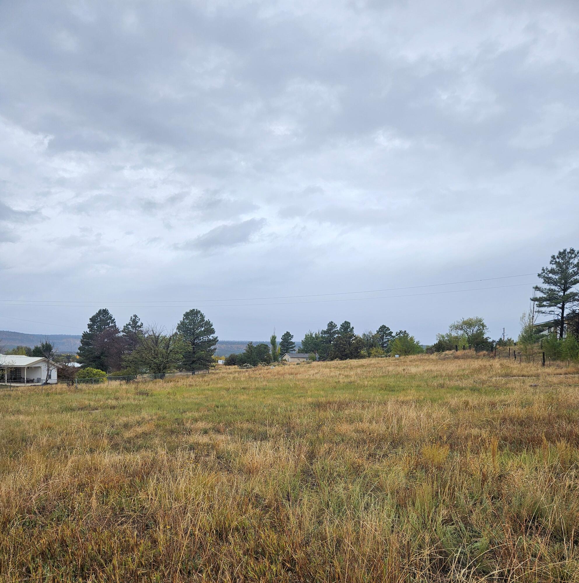 Paradise Road, Cuba, New Mexico image 9