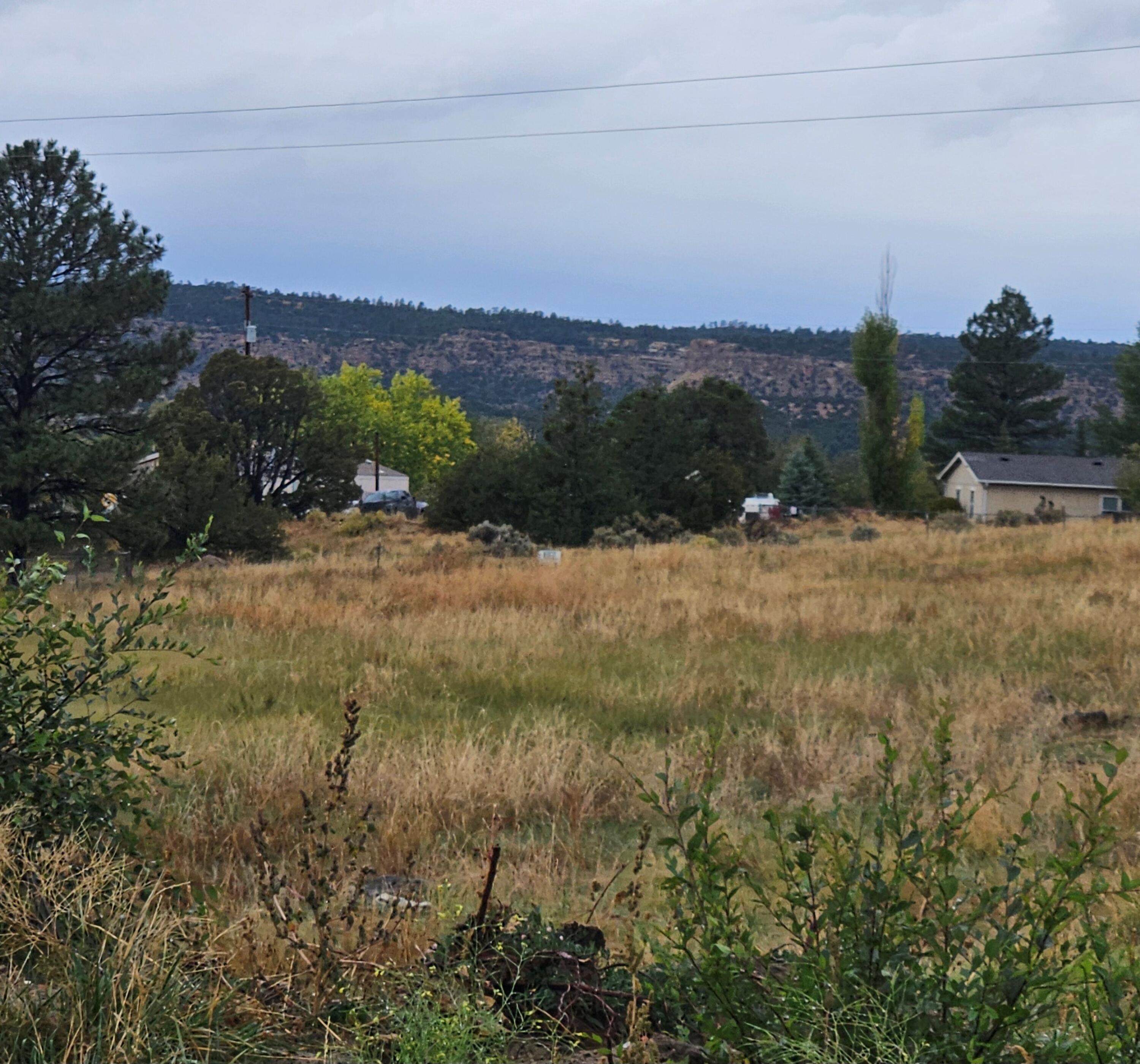 Paradise Road, Cuba, New Mexico image 4