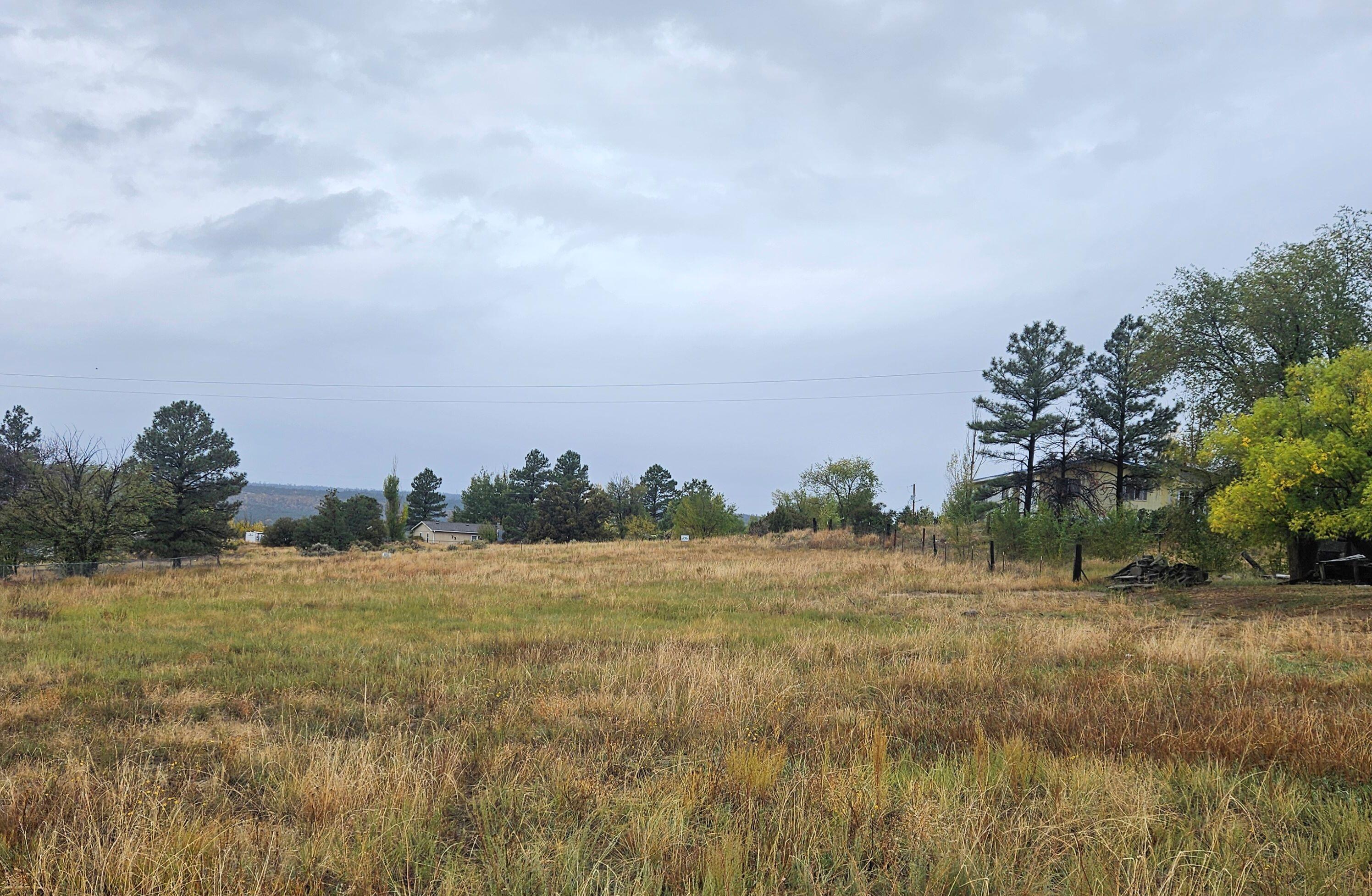 Paradise Road, Cuba, New Mexico image 2