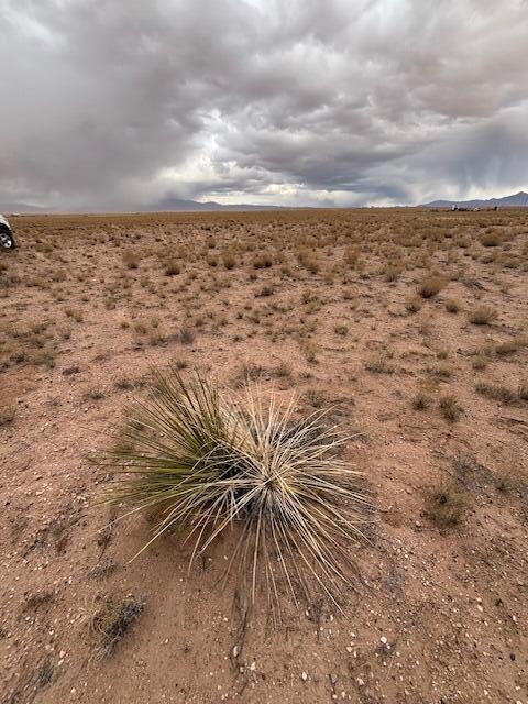 Uranga Ave Lot: 21 Block 182, Veguita, New Mexico image 5