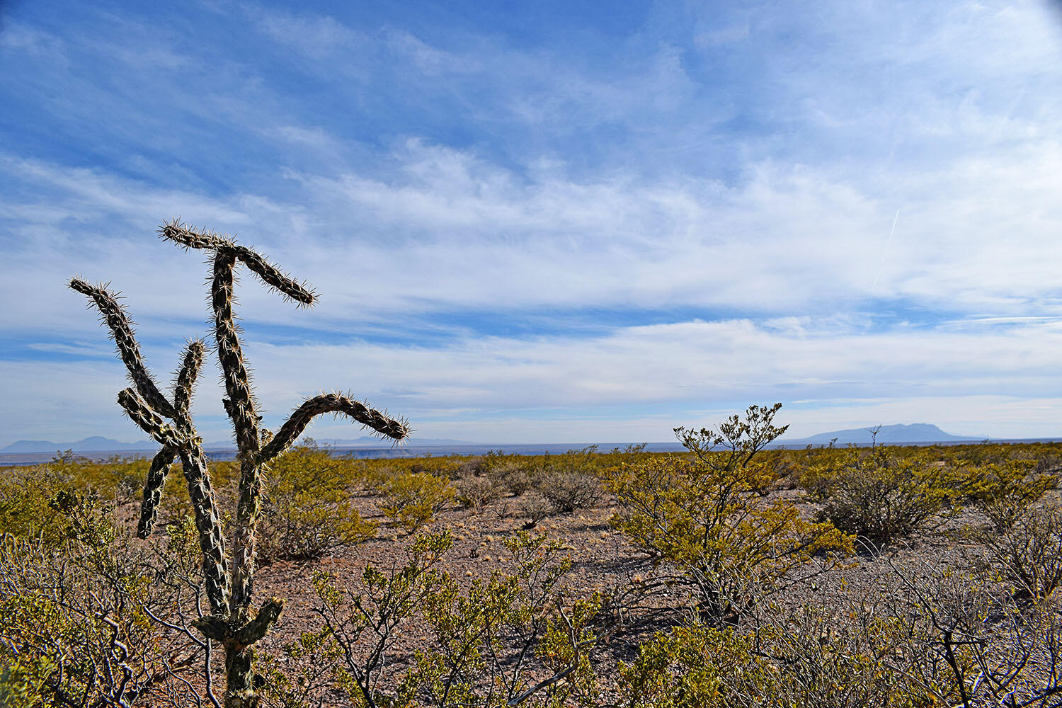 Lot 3-13 Highland Springs Ranch Road, San Antonio, New Mexico image 48