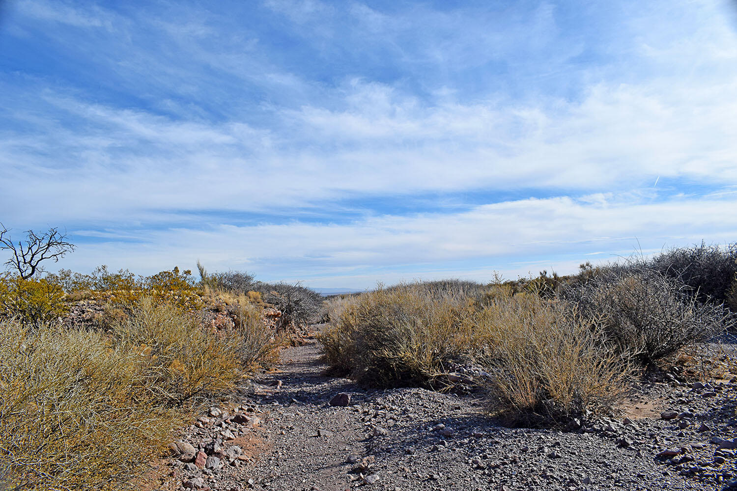 Lot 3-13 Highland Springs Ranch Road, San Antonio, New Mexico image 41