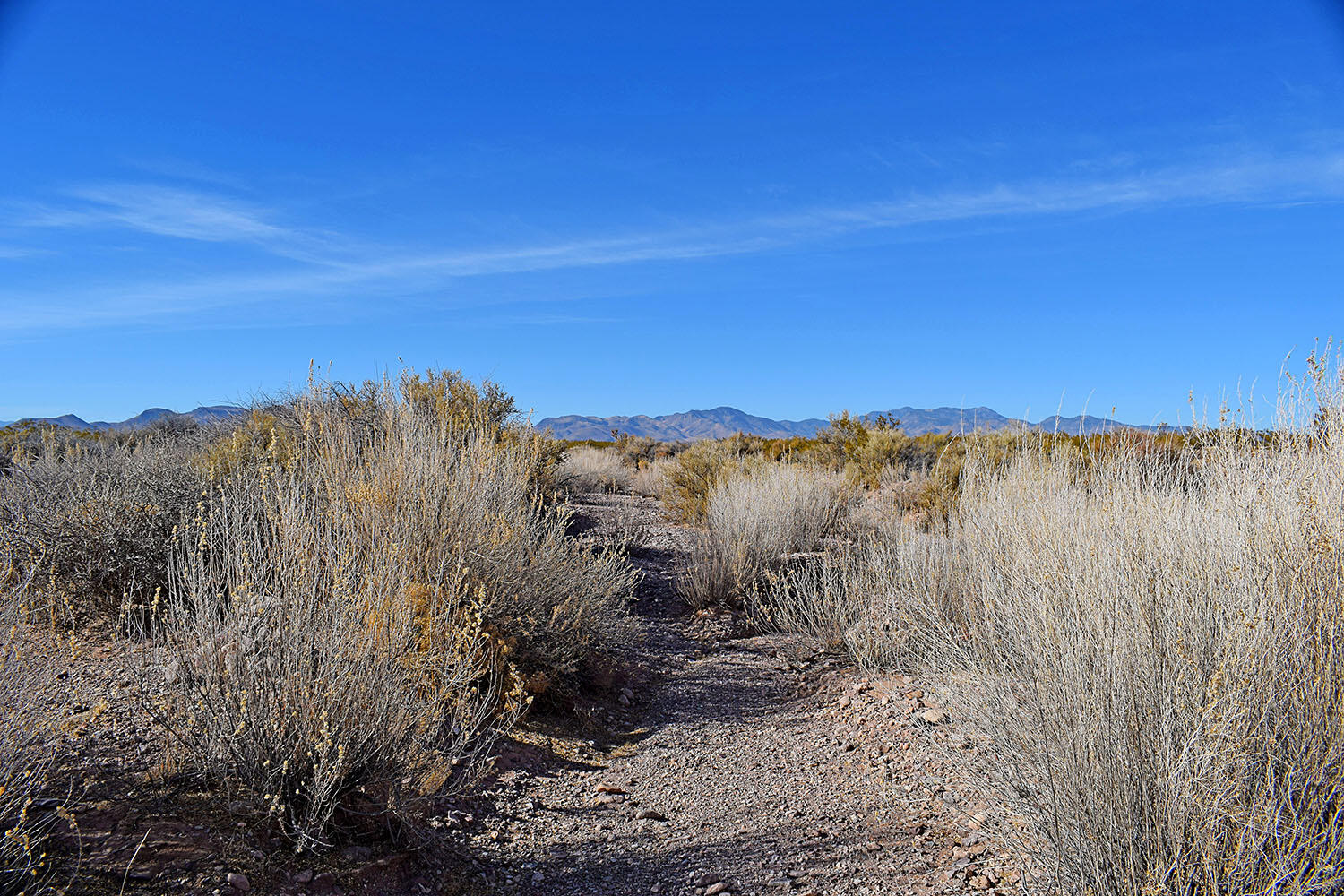 Lot 3-13 Highland Springs Ranch Road, San Antonio, New Mexico image 18