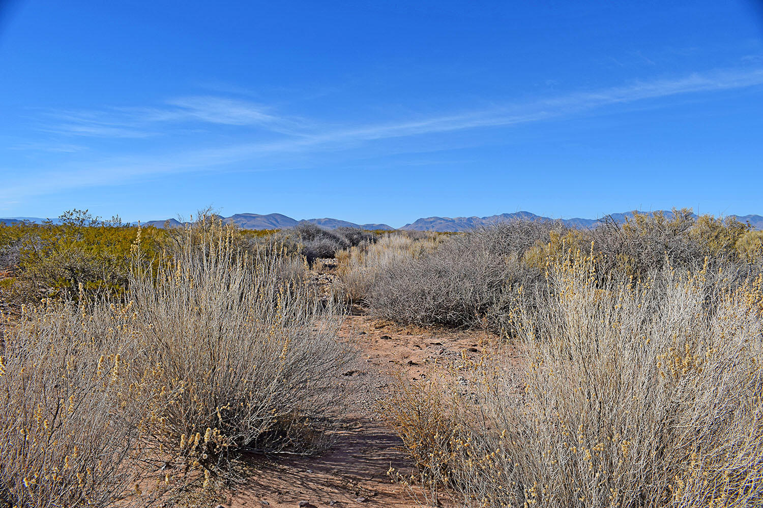 Lot 3-13 Highland Springs Ranch Road, San Antonio, New Mexico image 17