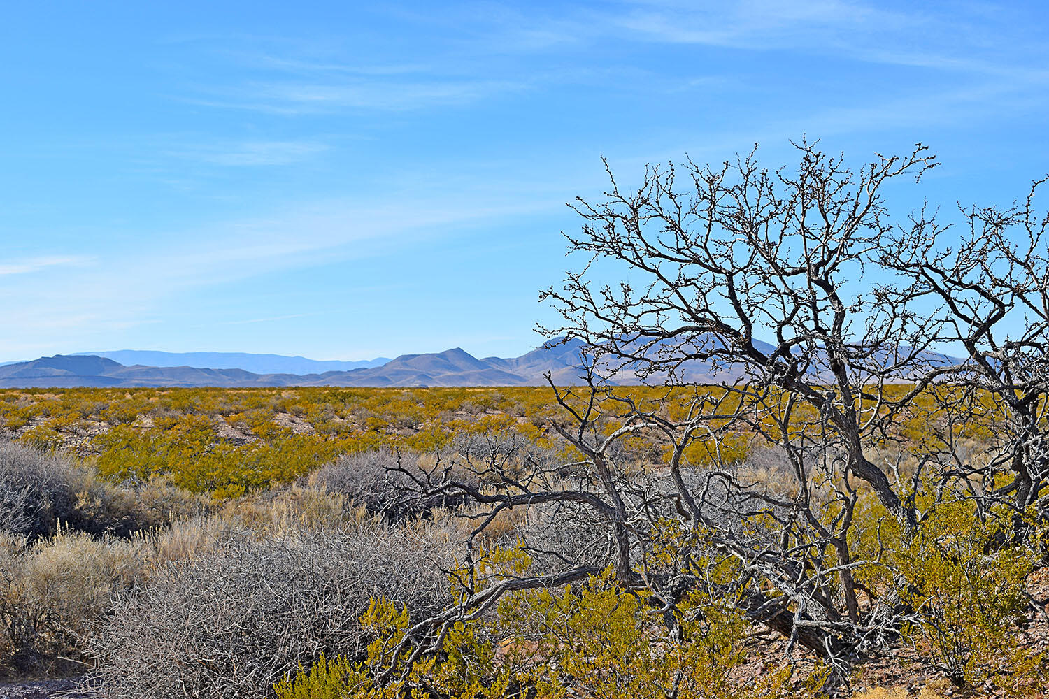 Lot 3-13 Highland Springs Ranch Road, San Antonio, New Mexico image 38