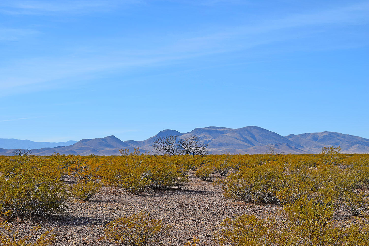 Lot 3-13 Highland Springs Ranch Road, San Antonio, New Mexico image 36