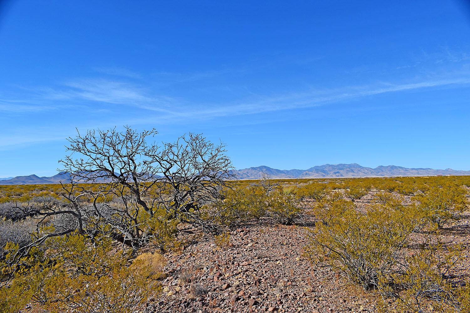 Lot 3-13 Highland Springs Ranch Road, San Antonio, New Mexico image 40