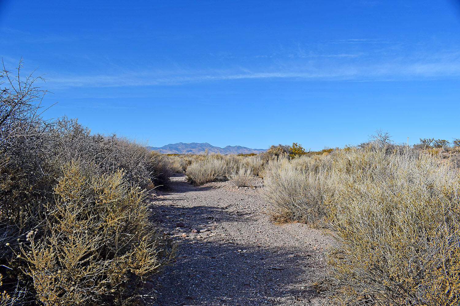 Lot 3-13 Highland Springs Ranch Road, San Antonio, New Mexico image 44