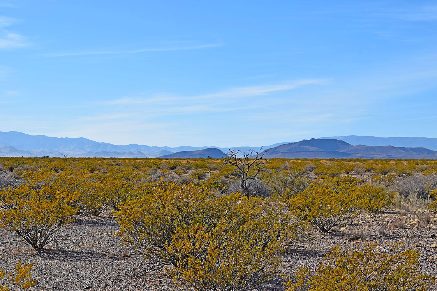 Lot 3-13 Highland Springs Ranch Road, San Antonio, New Mexico image 37