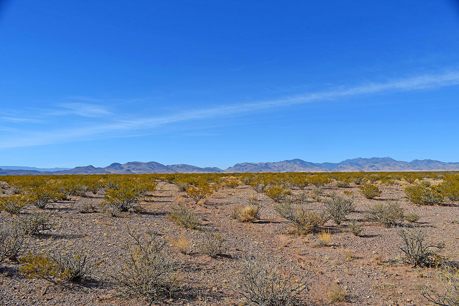 Lot 3-13 Highland Springs Ranch Road, San Antonio, New Mexico image 5