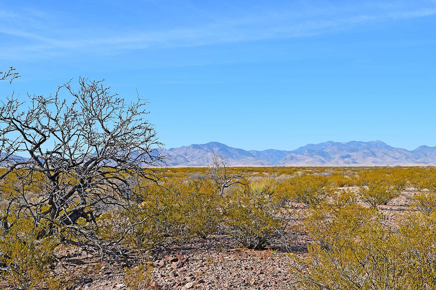 Lot 3-13 Highland Springs Ranch Road, San Antonio, New Mexico image 39