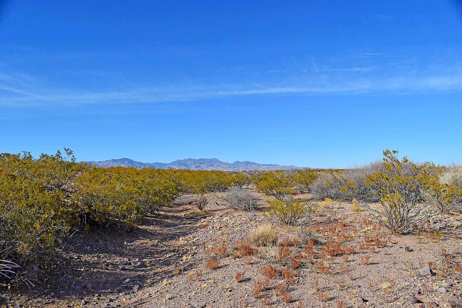 Lot 3-13 Highland Springs Ranch Road, San Antonio, New Mexico image 46