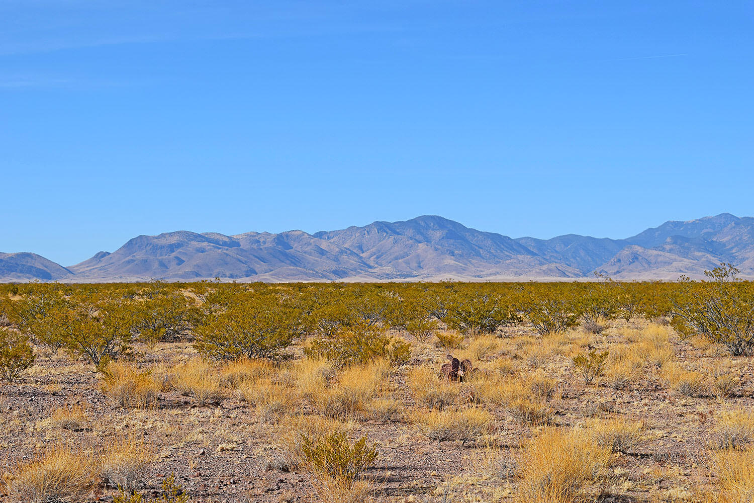 Lot 3-13 Highland Springs Ranch Road, San Antonio, New Mexico image 11