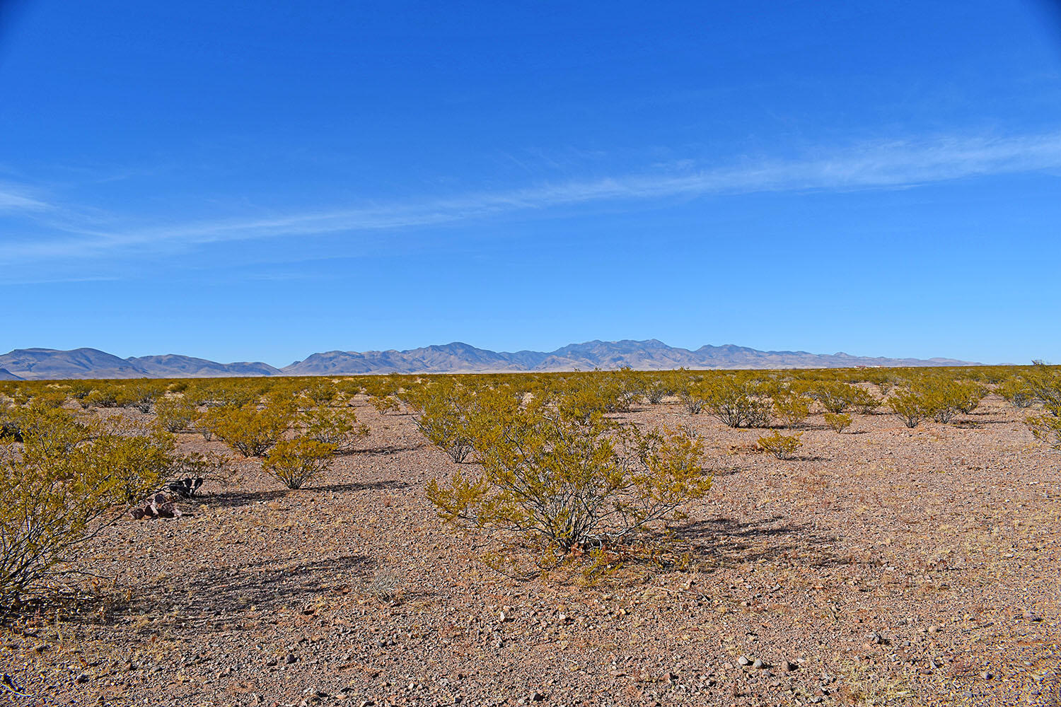 Lot 3-13 Highland Springs Ranch Road, San Antonio, New Mexico image 15