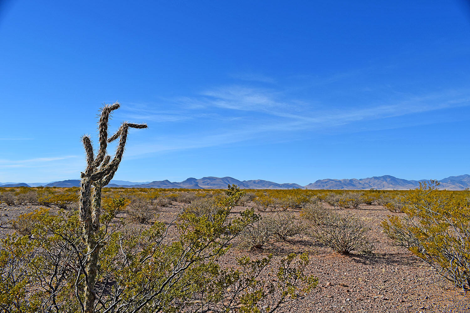 Lot 3-13 Highland Springs Ranch Road, San Antonio, New Mexico image 47