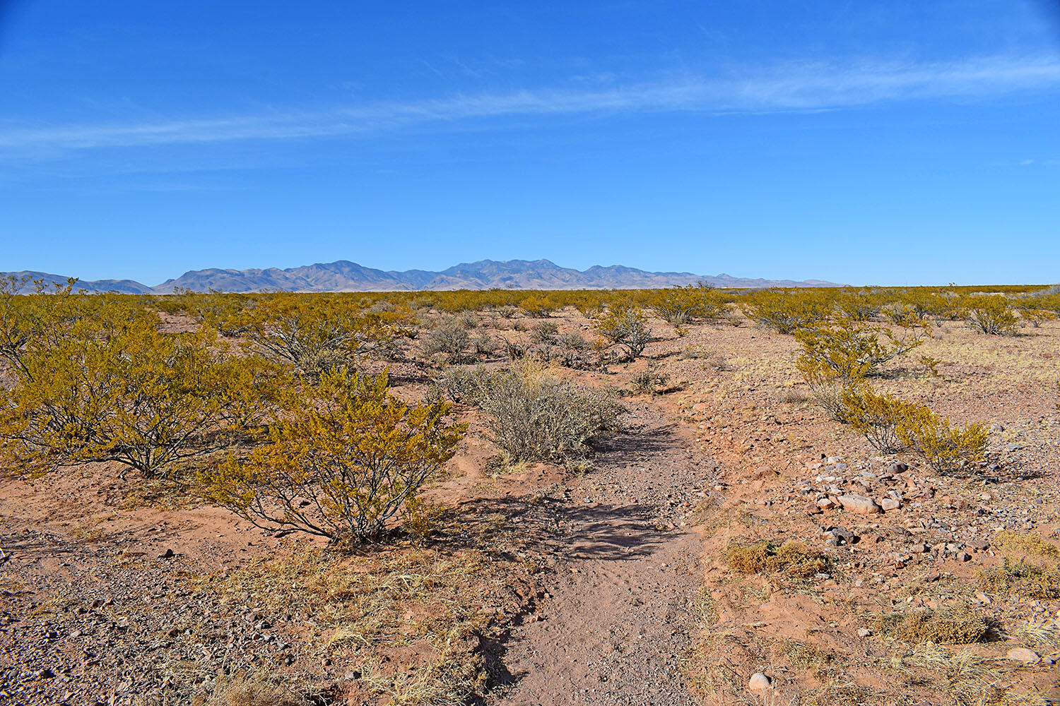 Lot 3-13 Highland Springs Ranch Road, San Antonio, New Mexico image 16