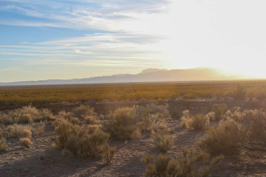 3-17 Willow Springs, Magdalena, New Mexico image 39