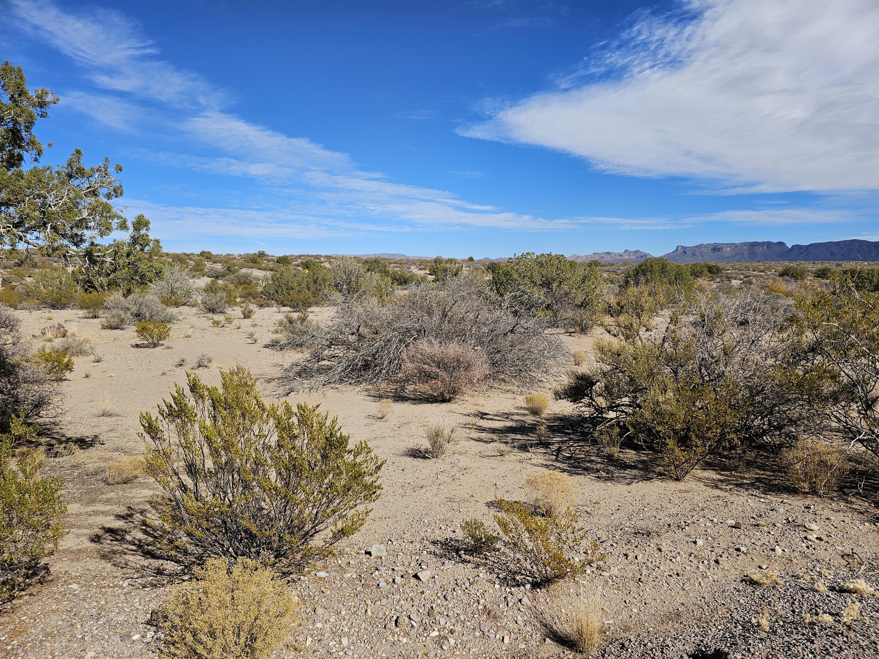 613 Greer Lane, Elephant Butte, New Mexico image 1