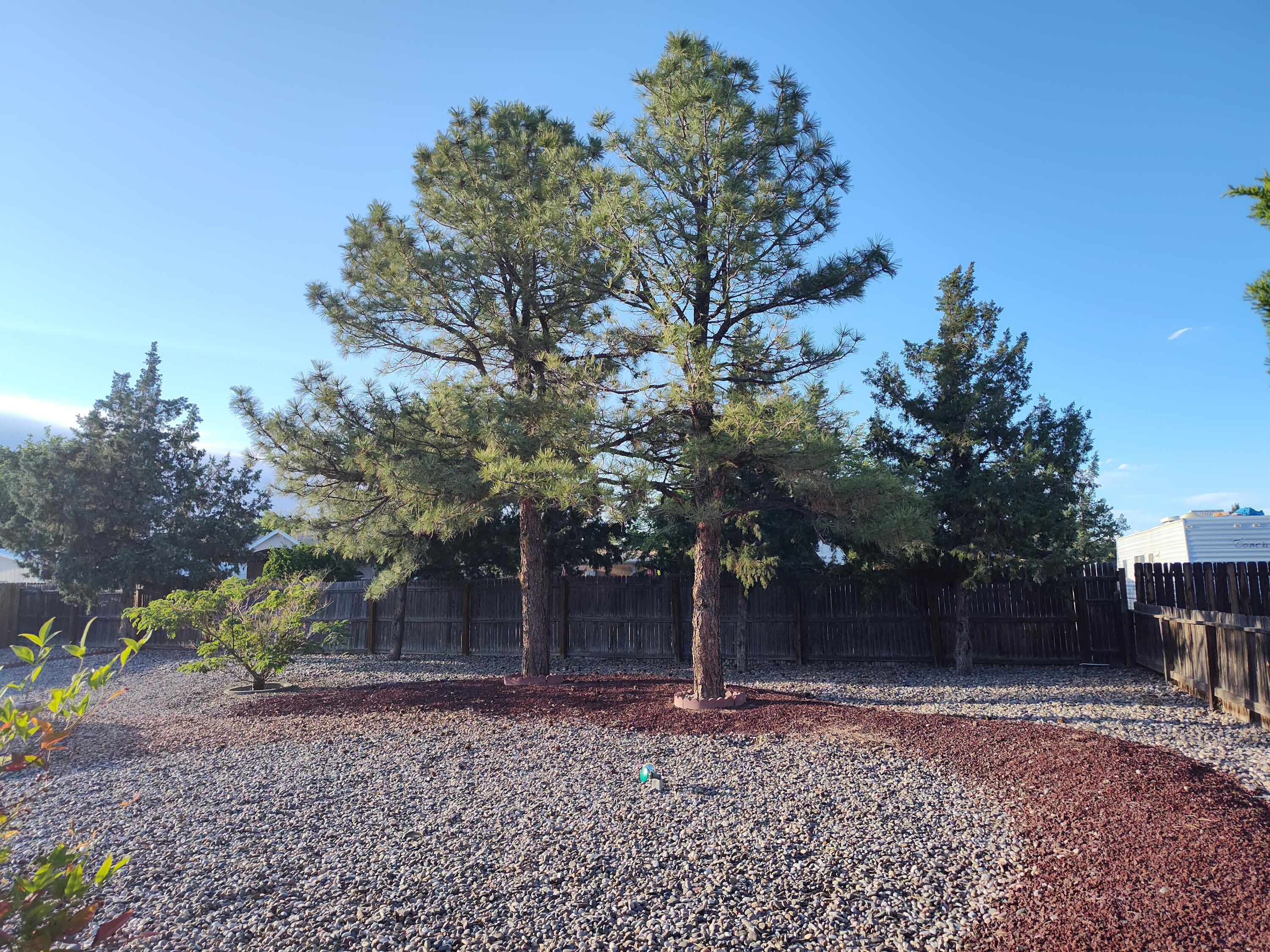 4111 El Cajon Court, Rio Rancho, New Mexico image 36
