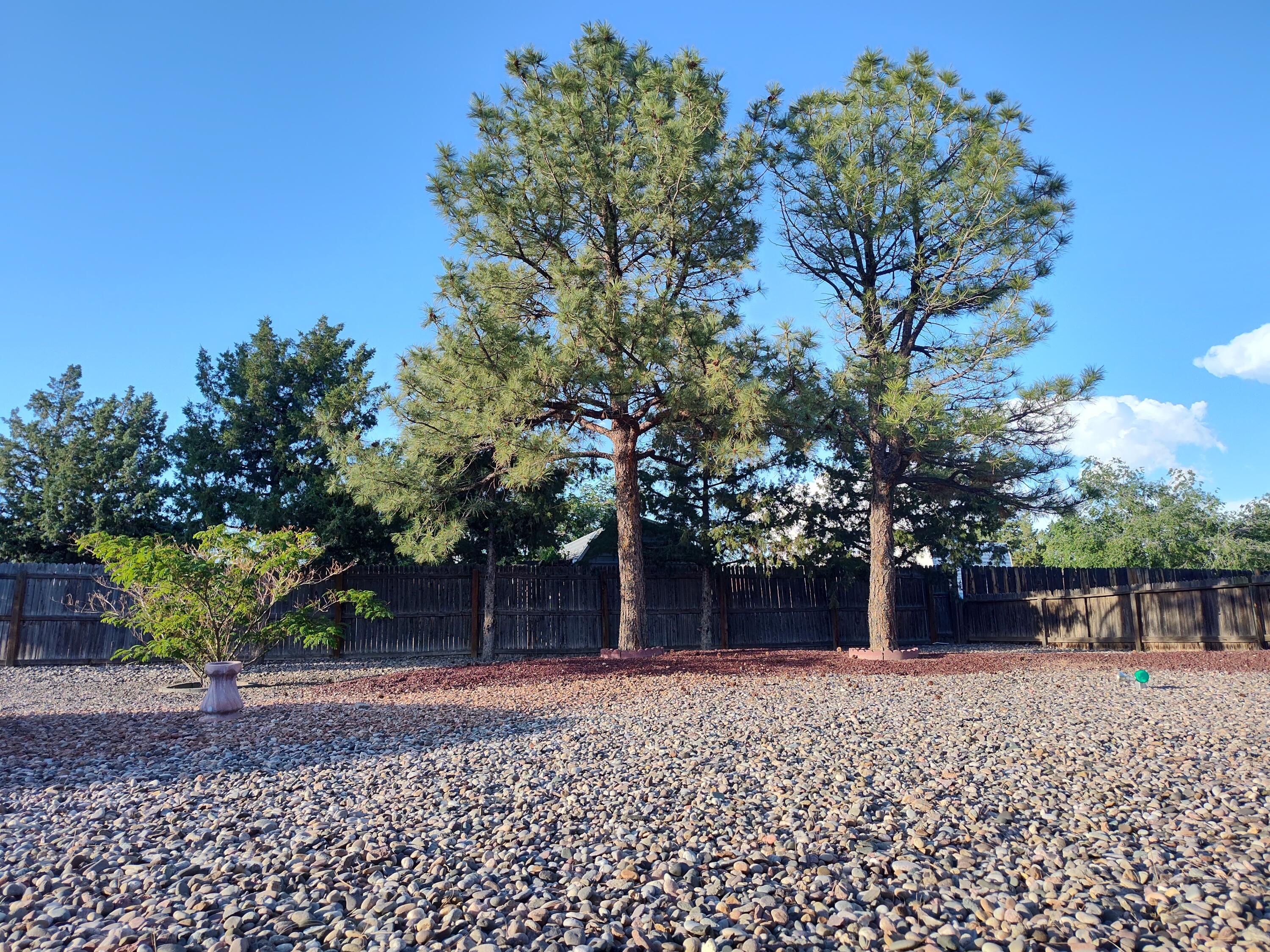4111 El Cajon Court, Rio Rancho, New Mexico image 35