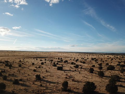 Tract 16 Portrillo Creek Ranch Santa Rosa NM 88435