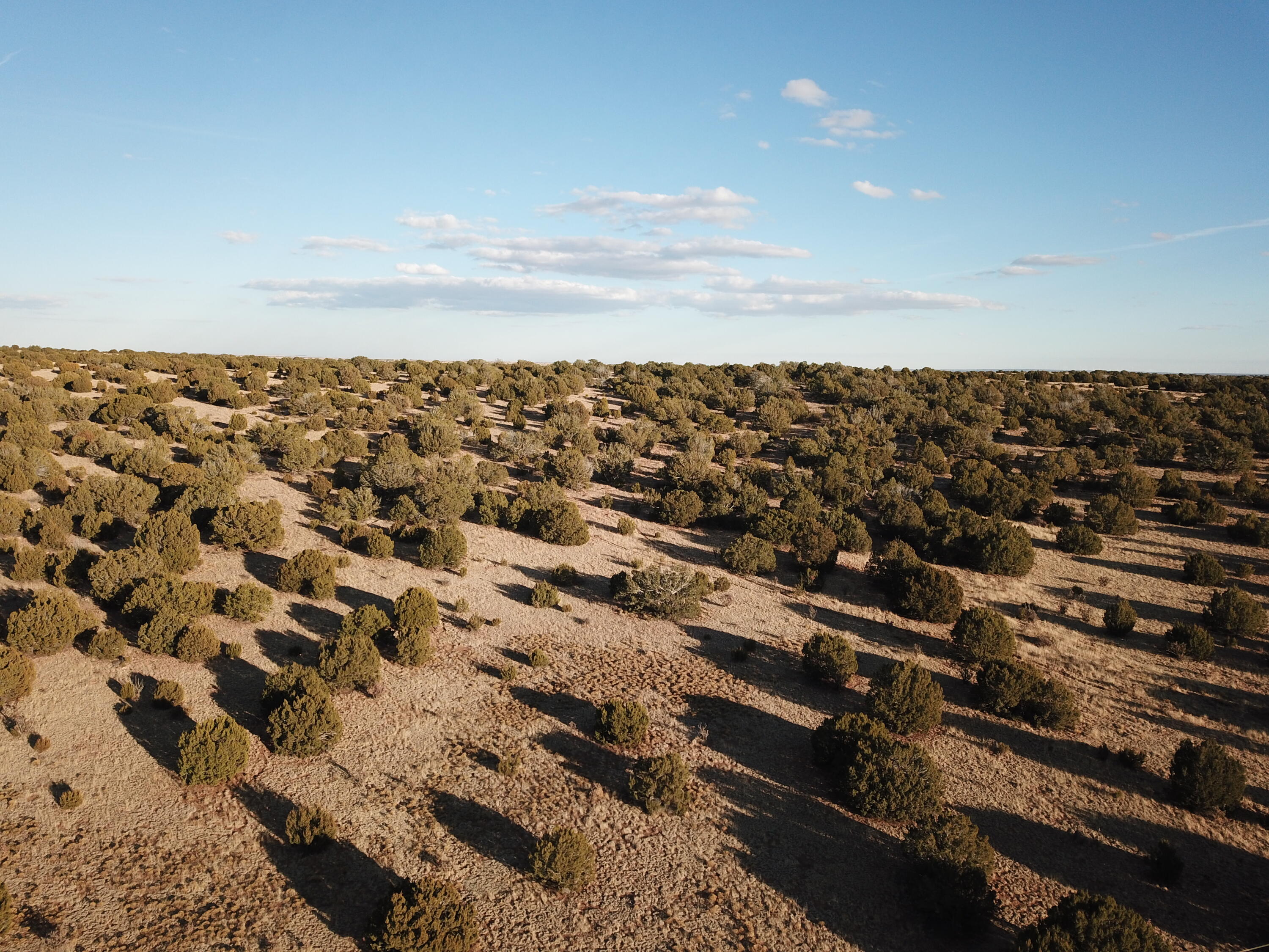 Tract 16 Portrillo Creek Ranch