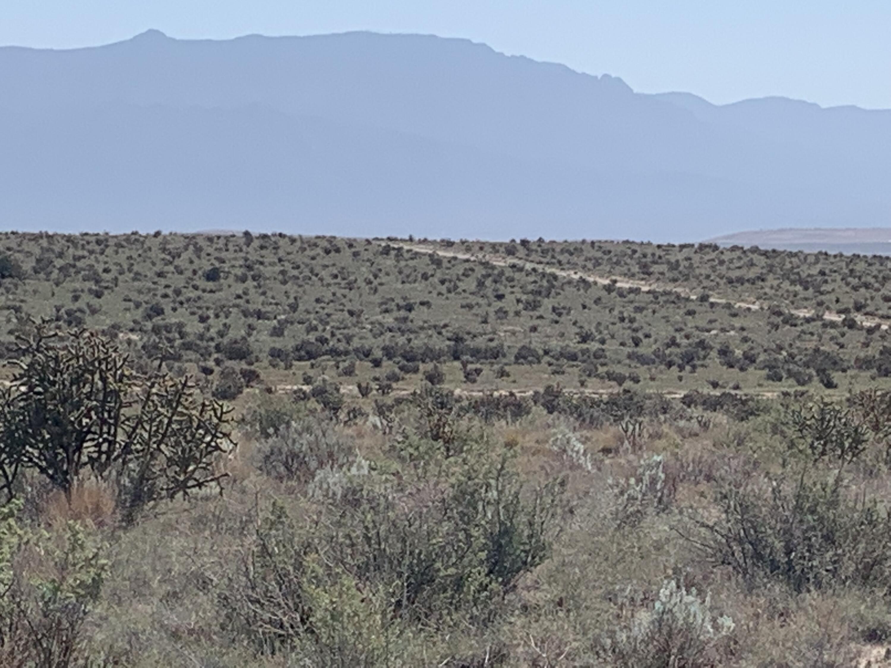 View Rio Rancho, NM 87144 land