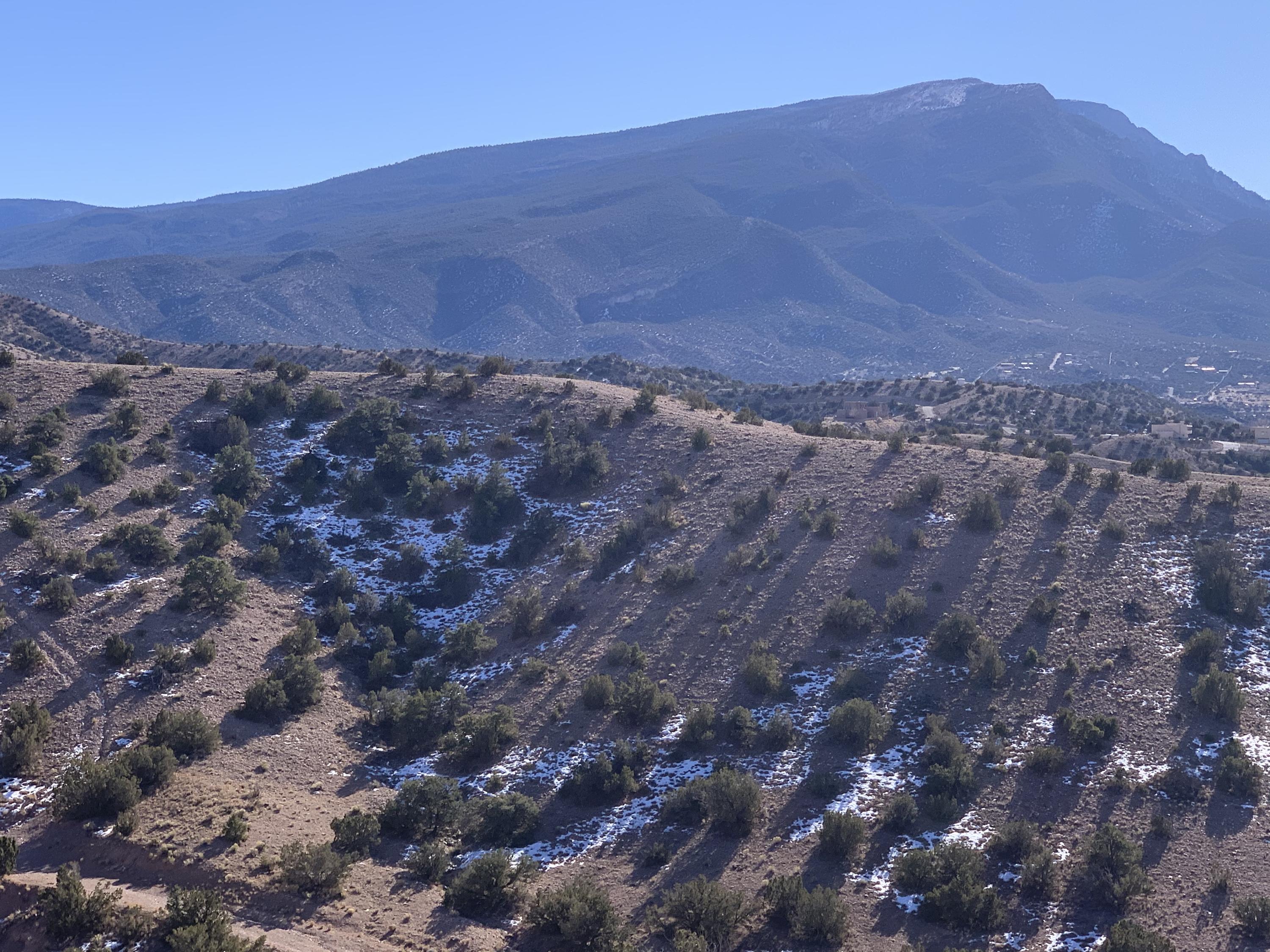 Cam Zia, Placitas, New Mexico image 5