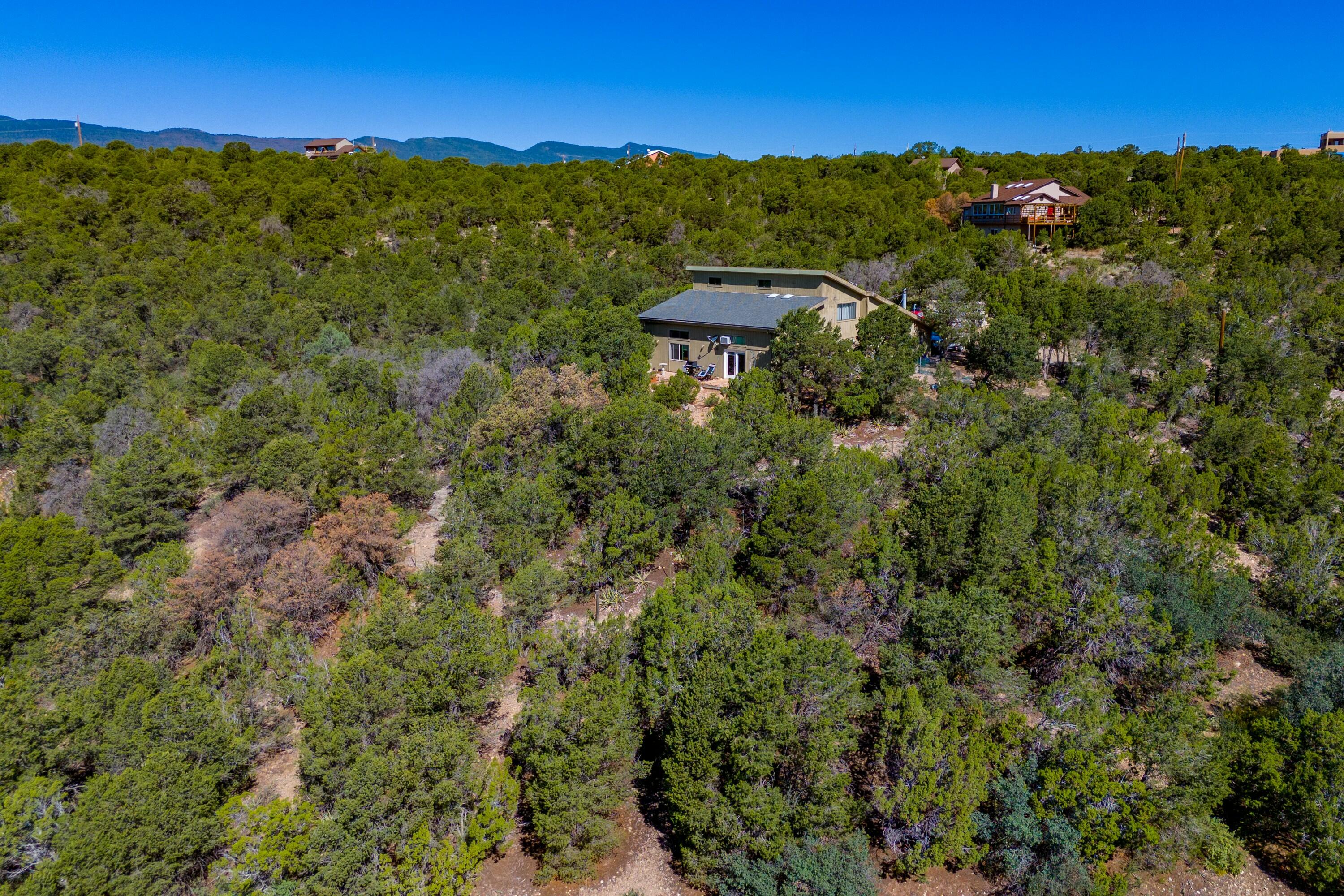 9 Imelda Court, Tijeras, New Mexico image 40