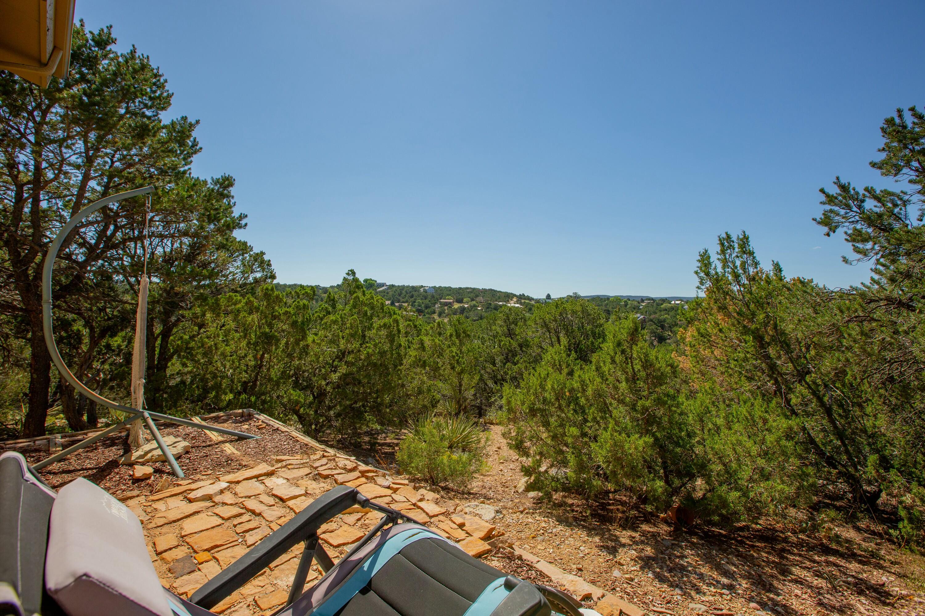 9 Imelda Court, Tijeras, New Mexico image 33